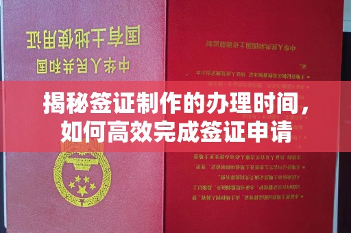 定西揭秘签证制作的办理时间，如何高效完成签证申请